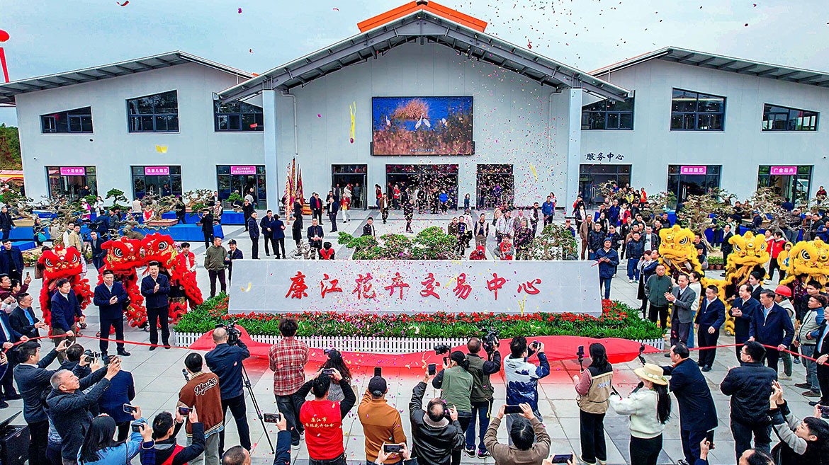 1736212189484064.jpg 1.jpg